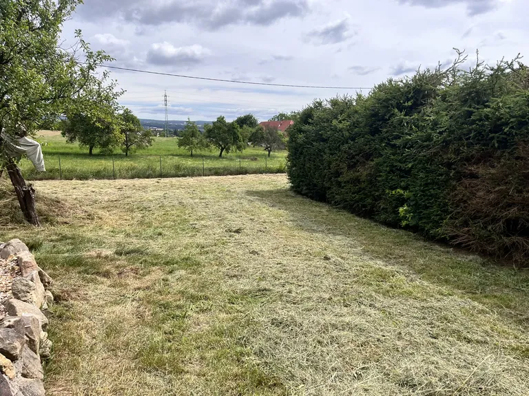 Po – Proměna přerostlého pozemku – sekání, mulčování a vyčištění – Dvůr Králové nad Labem