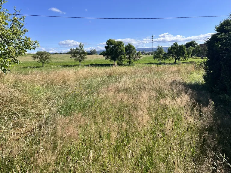 Před – Proměna přerostlého pozemku – sekání, mulčování a vyčištění – Dvůr Králové nad Labem