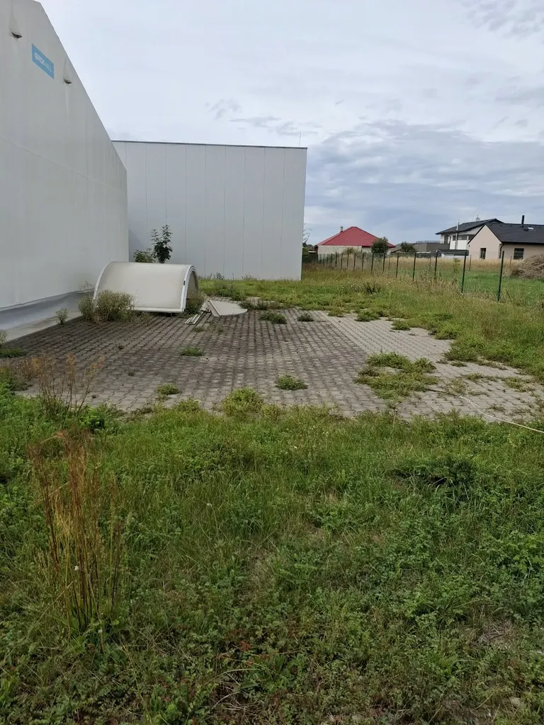 Před – Zarostlá zpevněná plocha u haly před a po odplevelení a posečení – Libišany
